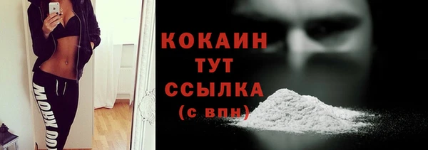 стаф Балахна