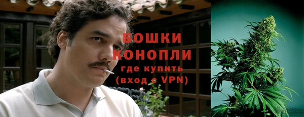 ALPHA PVP Белокуриха